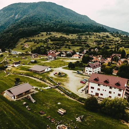 Pensiunea 3 Brazi Zărneşti Exterior foto