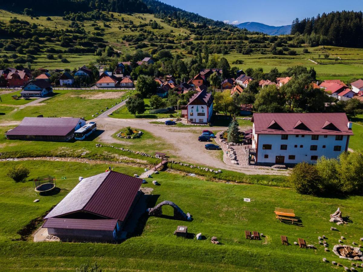 Pensiunea 3 Brazi Zărneşti Exterior foto