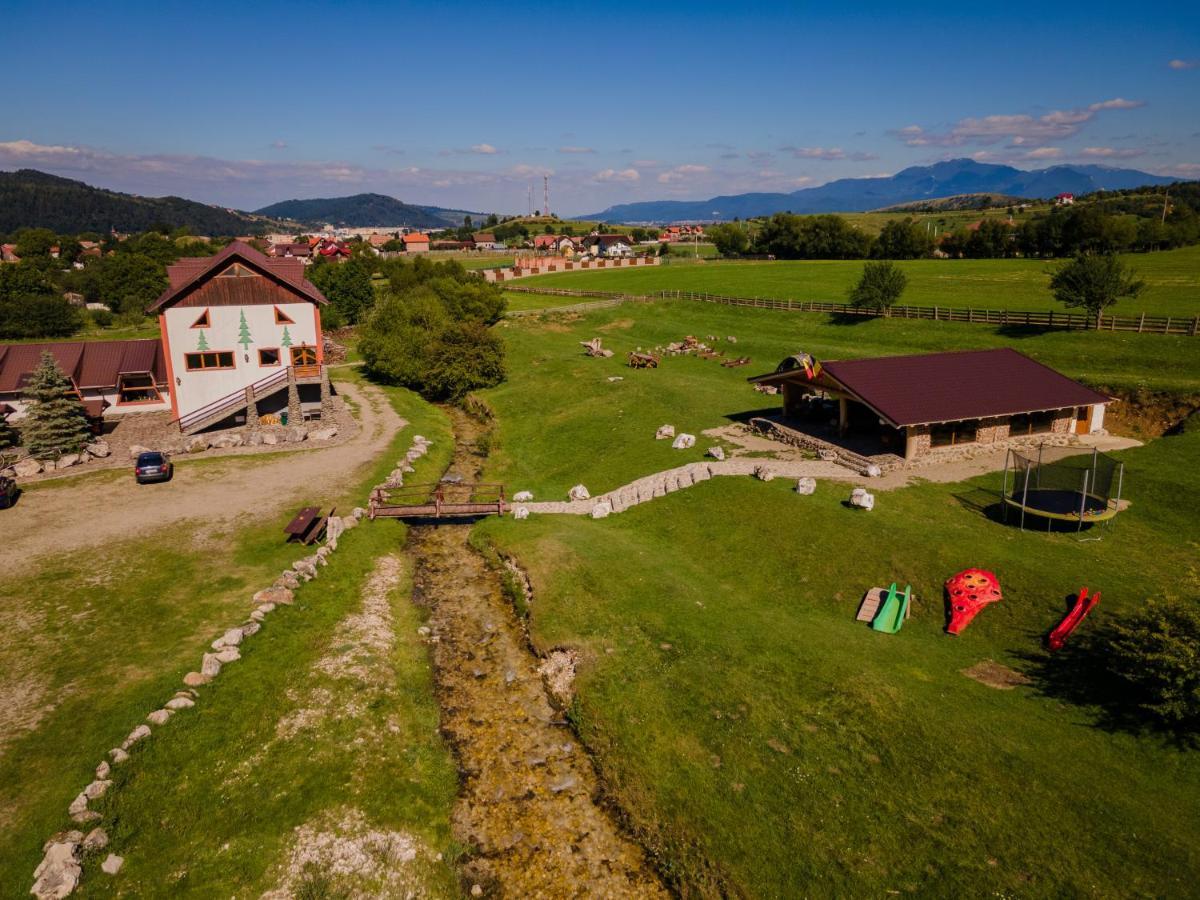 Pensiunea 3 Brazi Zărneşti Exterior foto