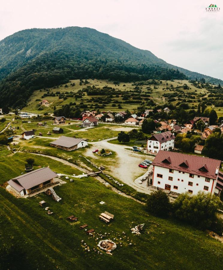 Pensiunea 3 Brazi Zărneşti Exterior foto