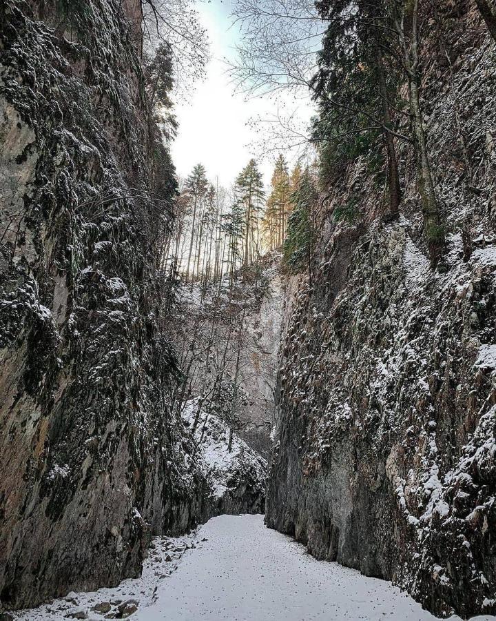 Pensiunea 3 Brazi Zărneşti Exterior foto