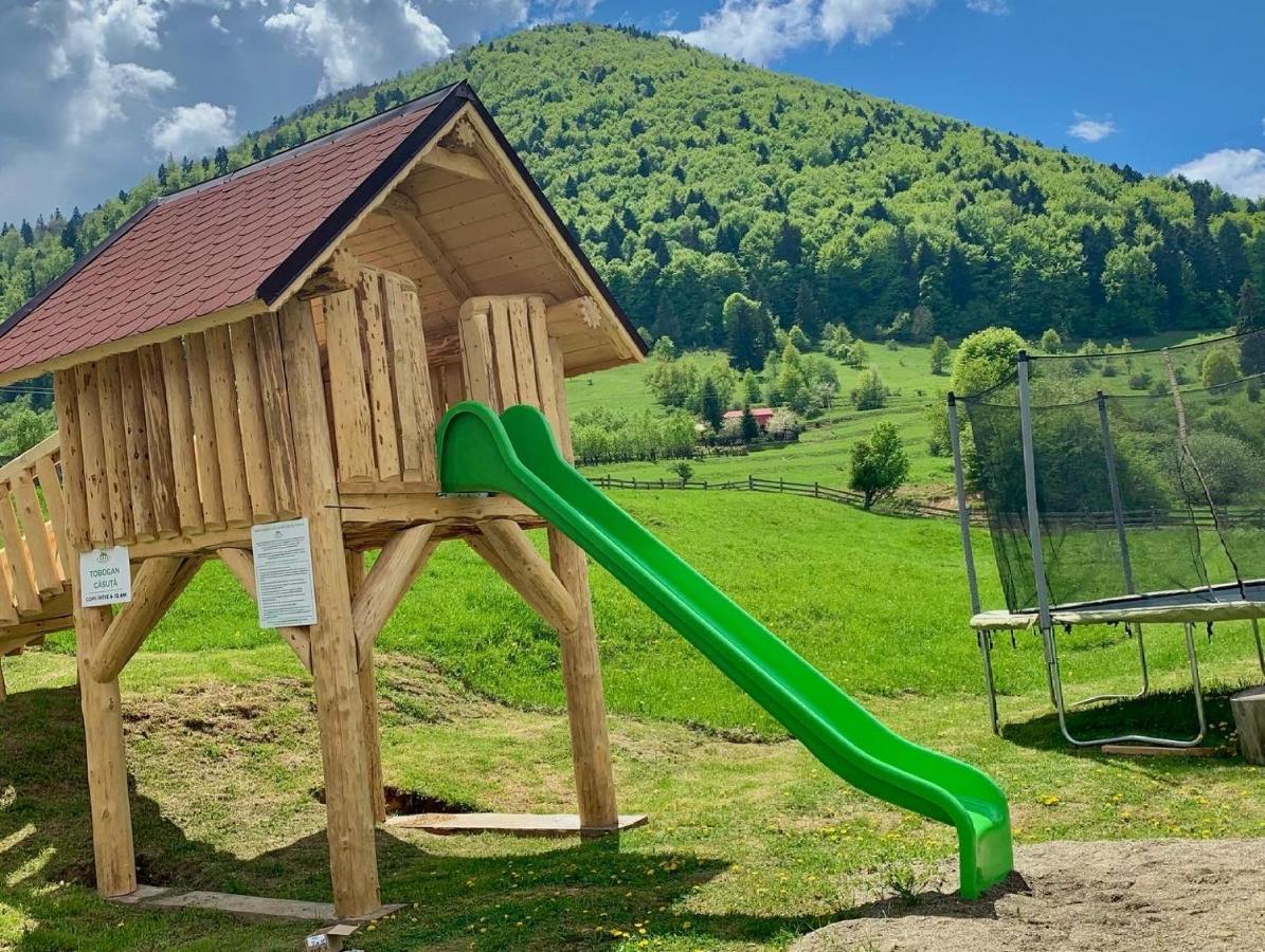 Pensiunea 3 Brazi Zărneşti Exterior foto
