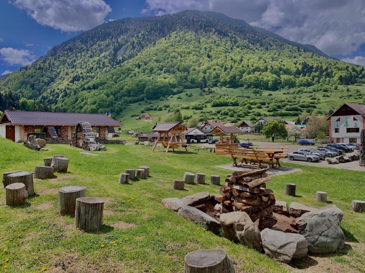 Pensiunea 3 Brazi Zărneşti Exterior foto