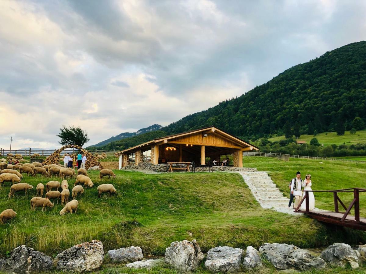 Pensiunea 3 Brazi Zărneşti Exterior foto