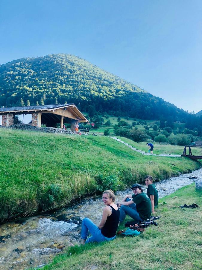 Pensiunea 3 Brazi Zărneşti Exterior foto