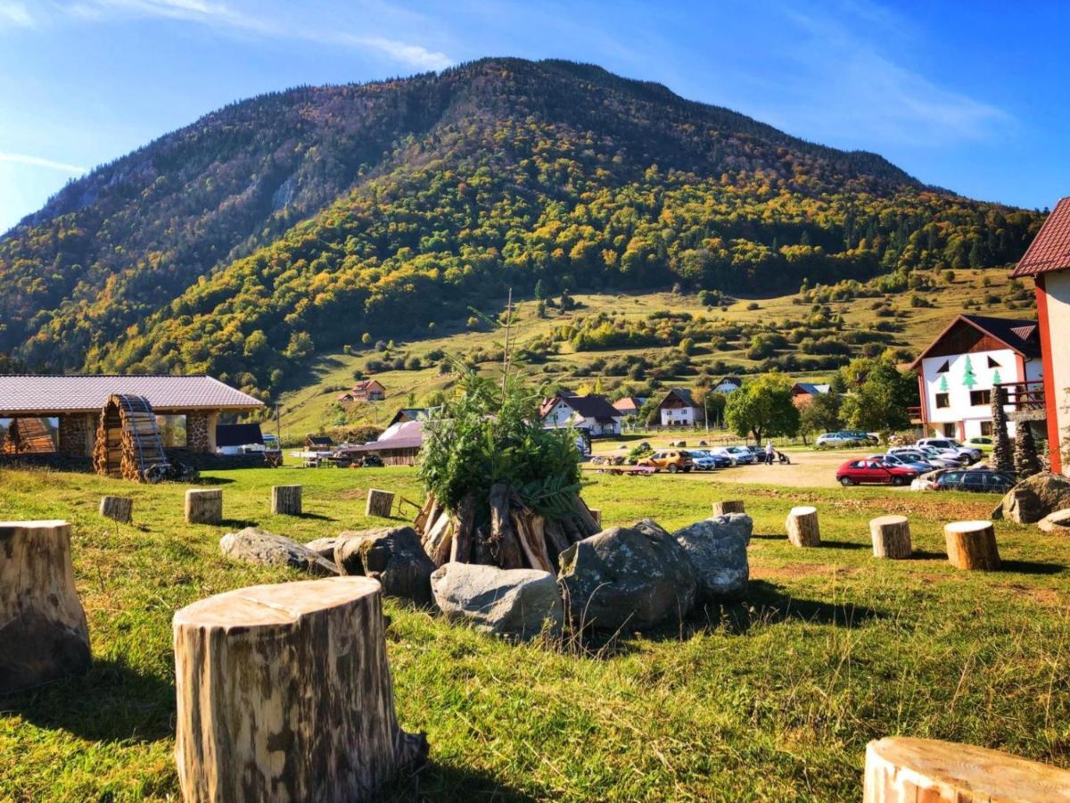 Pensiunea 3 Brazi Zărneşti Exterior foto