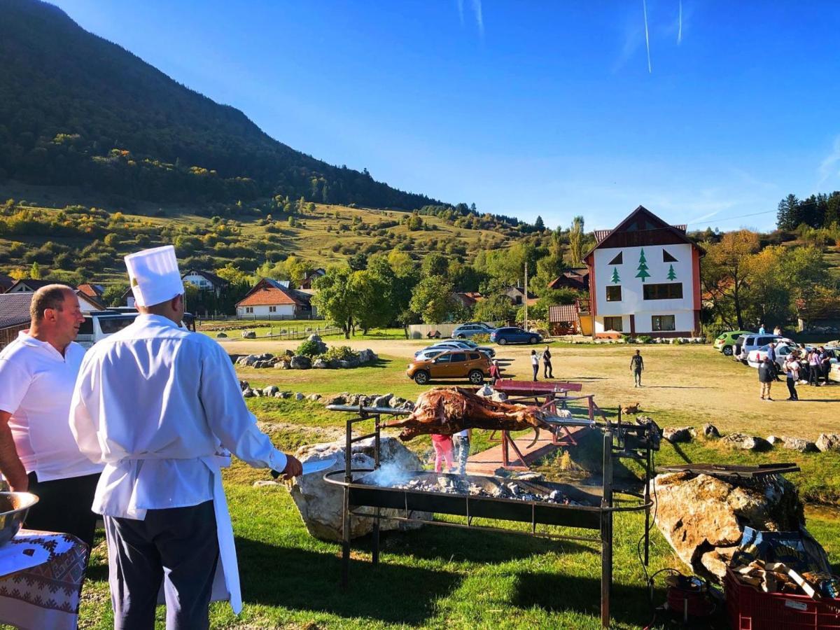 Pensiunea 3 Brazi Zărneşti Exterior foto