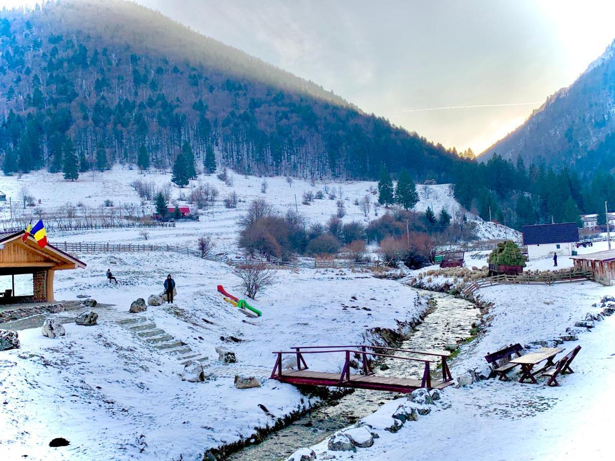 Pensiunea 3 Brazi Zărneşti Exterior foto
