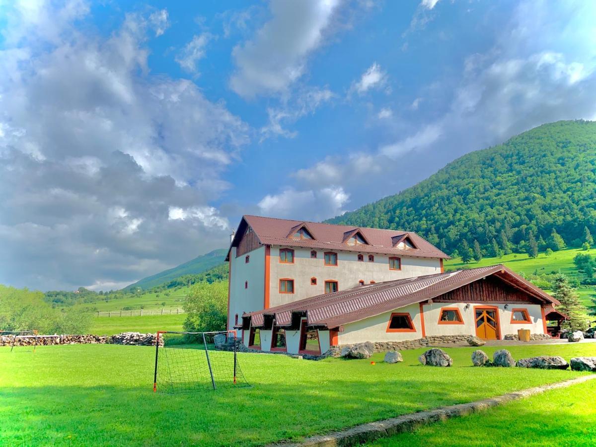 Pensiunea 3 Brazi Zărneşti Exterior foto